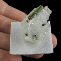 ZIELONY TURMALIN WERDELIT, KRYSZTAŁ GÓRSKI - 39 mm - BRAZYLIA