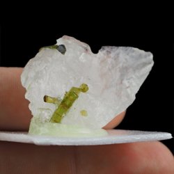 ZIELONY TURMALIN WERDELIT, KRYSZTAŁ GÓRSKI - 42 mm - BRAZYLIA