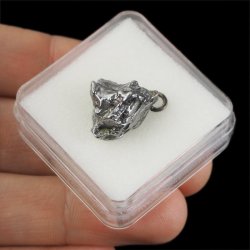 Campo del Cielo - WISIOREK Z METEORYTEM - 19 mm - ARGENTYNA