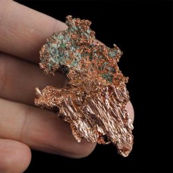 MIEDŹ RODZIMA - 53 mm - USA