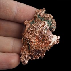 MIEDŹ RODZIMA - 53 mm - USA