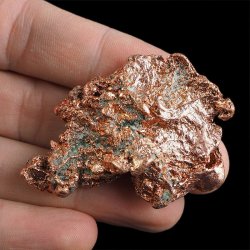 MIEDŹ RODZIMA - 54 mm - USA