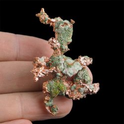 MIEDŹ RODZIMA - 55 mm - USA