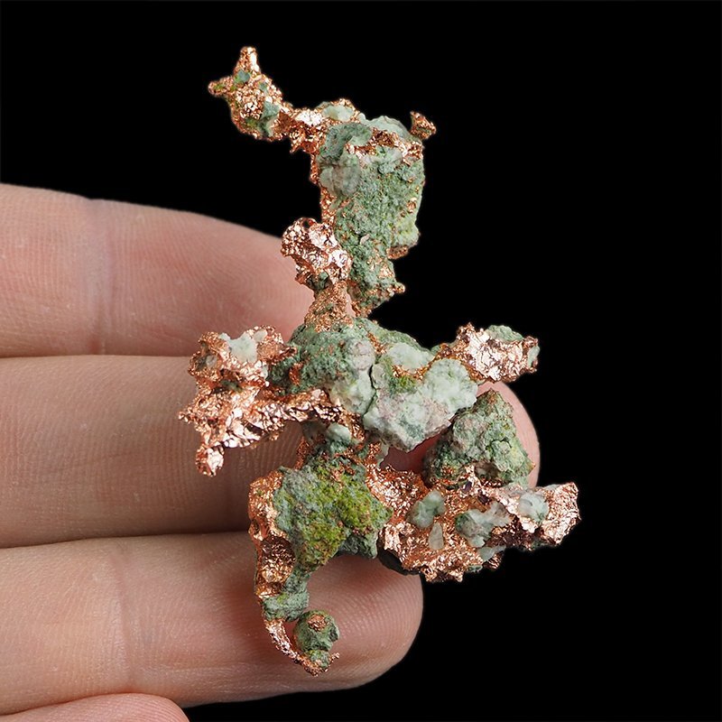 MIEDŹ RODZIMA - 55 mm - USA