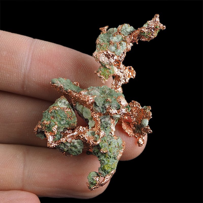 MIEDŹ RODZIMA - 55 mm - USA