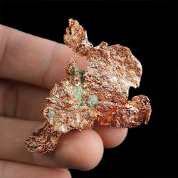 MIEDŹ RODZIMA - 50 mm - USA