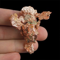 MIEDŹ RODZIMA - 50 mm - USA