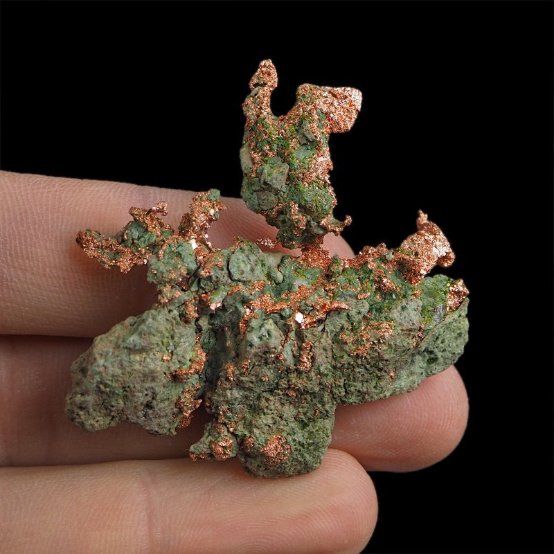 MIEDŹ RODZIMA - 49 mm - USA