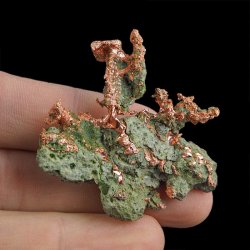 MIEDŹ RODZIMA - 49 mm - USA