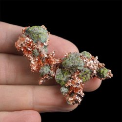 MIEDŹ RODZIMA - 57 mm - USA