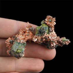 MIEDŹ RODZIMA - 57 mm - USA