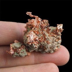 MIEDŹ RODZIMA - 46 mm - USA