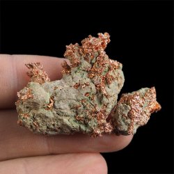 MIEDŹ RODZIMA - 46 mm - USA