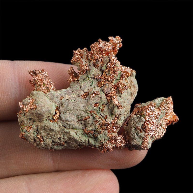 MIEDŹ RODZIMA - 46 mm - USA