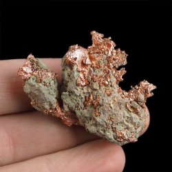 MIEDŹ RODZIMA - 46 mm - USA