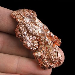 MIEDŹ RODZIMA - 53 mm - USA