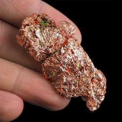 MIEDŹ RODZIMA - 53 mm - USA