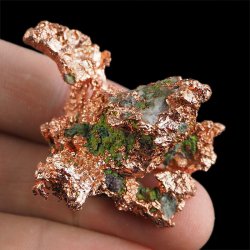 MIEDŹ RODZIMA - 46 mm - USA