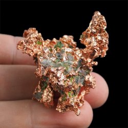 MIEDŹ RODZIMA - 46 mm - USA