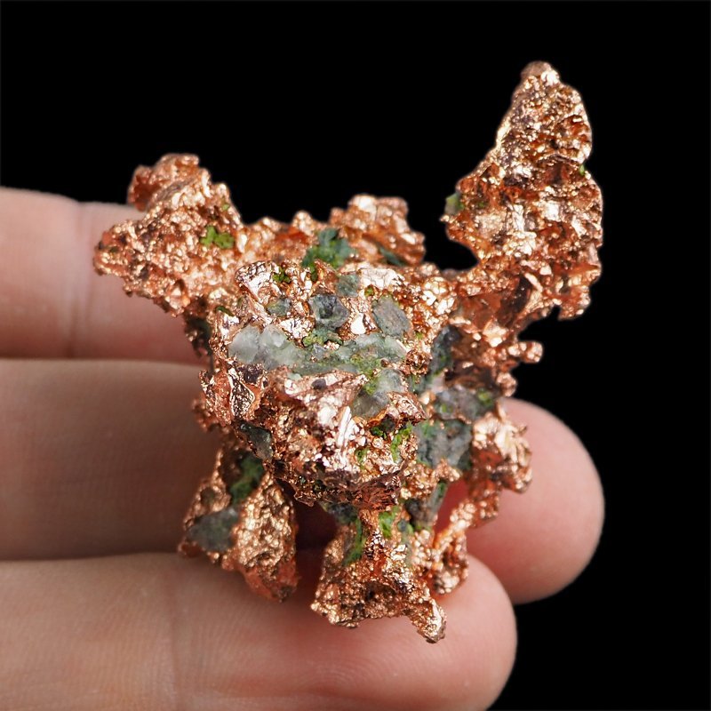 MIEDŹ RODZIMA - 46 mm - USA