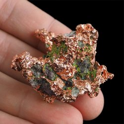 MIEDŹ RODZIMA - 46 mm - USA