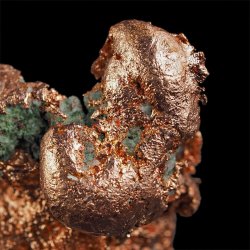 MIEDŹ RODZIMA - 55 mm - USA