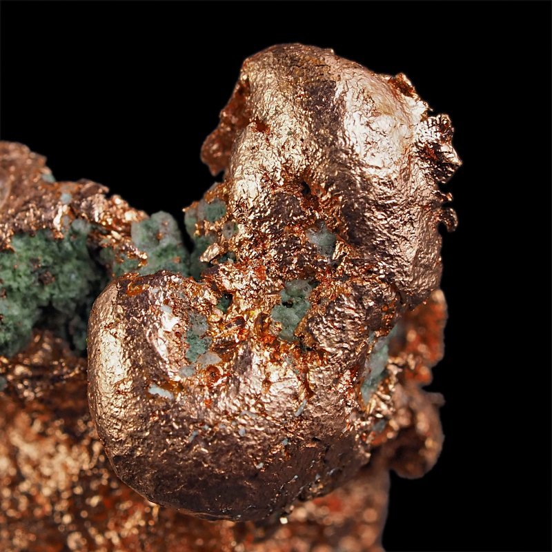 MIEDŹ RODZIMA - 55 mm - USA