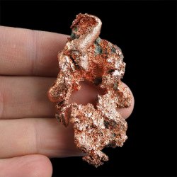 MIEDŹ RODZIMA - 55 mm - USA