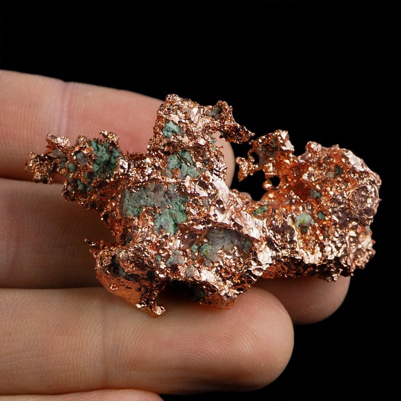 MIEDŹ RODZIMA - 52 mm - USA