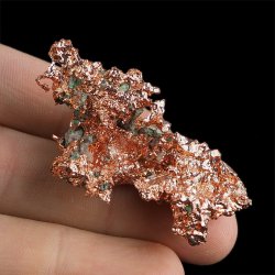 MIEDŹ RODZIMA - 52 mm - USA