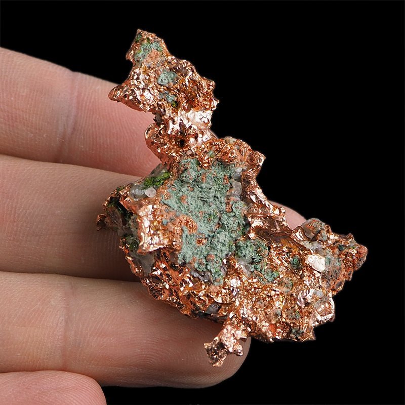 MIEDŹ RODZIMA - 49 mm - USA