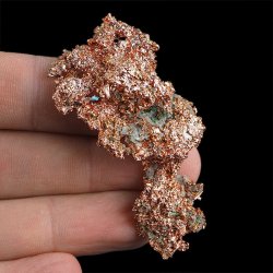 MIEDŹ RODZIMA - 57 mm - USA