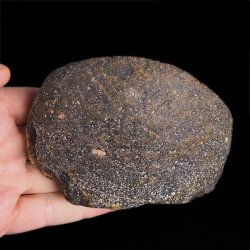 AGAT - 105 mm - BRAZYLIA