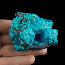 CHRYZOKOLA - 67 mm - KONGO