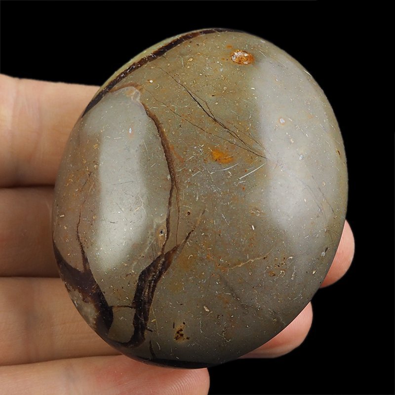SEPTARIA - OTOCZAK - 57 mm - MADAGASKAR