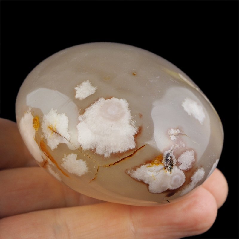 AGAT KWIATOWY - OTOCZAK - 71 mm - MADAGASKAR