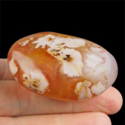 AGAT KWIATOWY - OTOCZAK - 55 mm - MADAGASKAR