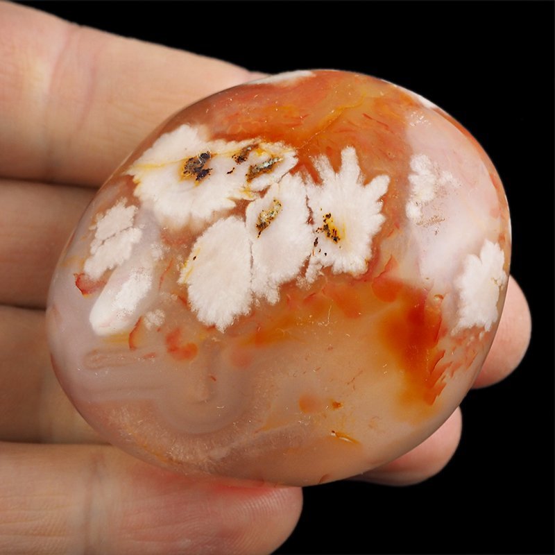 AGAT KWIATOWY - OTOCZAK - 55 mm - MADAGASKAR