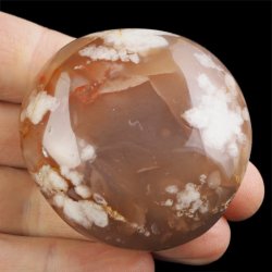 AGAT KWIATOWY - OTOCZAK - 54 mm - MADAGASKAR