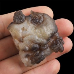 CHALCEDON - 48 mm - MAROKO