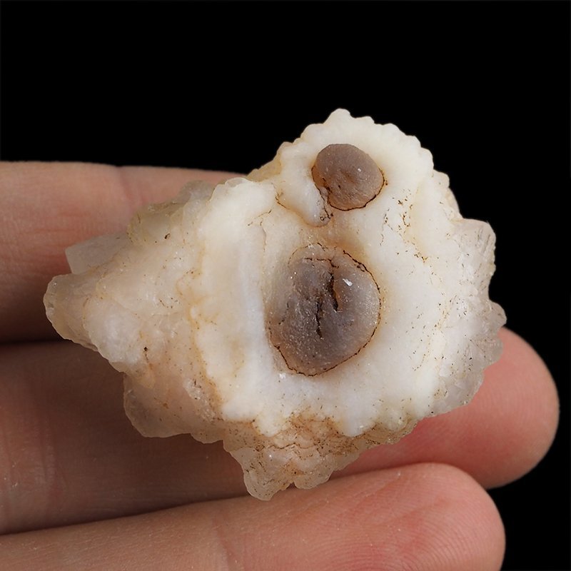 CHALCEDON - 41 mm - MAROKO