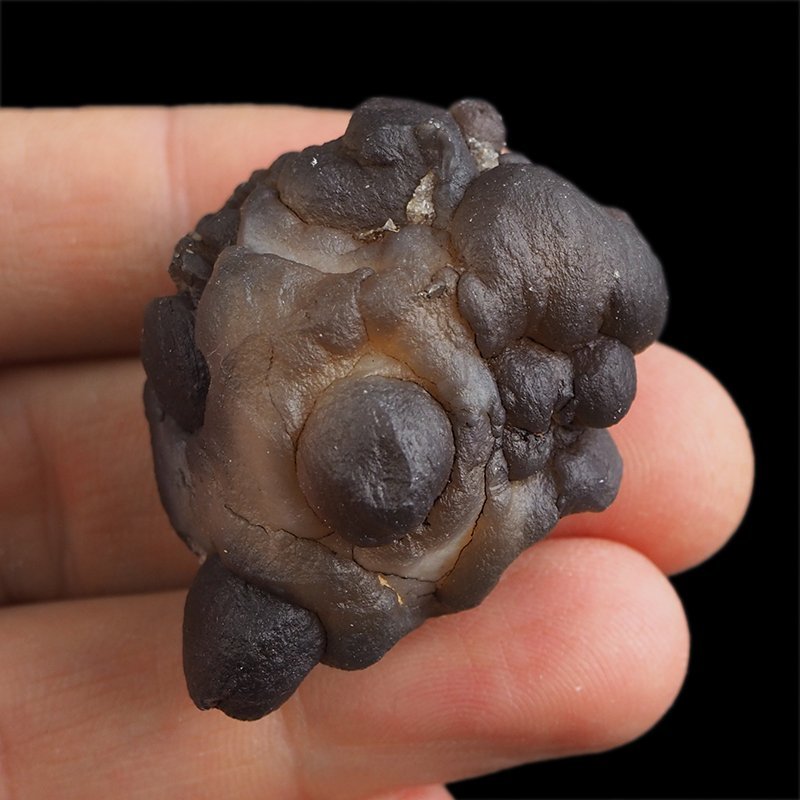 CHALCEDON - 42 mm - MAROKO