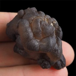 CHALCEDON - 42 mm - MAROKO