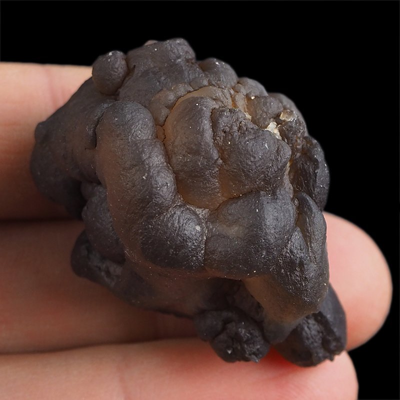 CHALCEDON - 42 mm - MAROKO