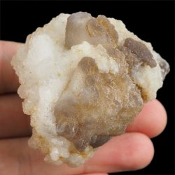 CHALCEDON - 56 mm - MAROKO