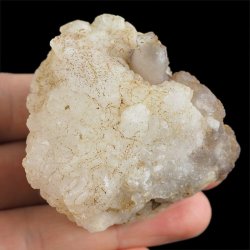 CHALCEDON - 56 mm - MAROKO