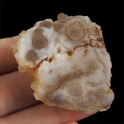 CHALCEDON - 52 mm - MAROKO