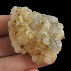 CHALCEDON - 52 mm - MAROKO