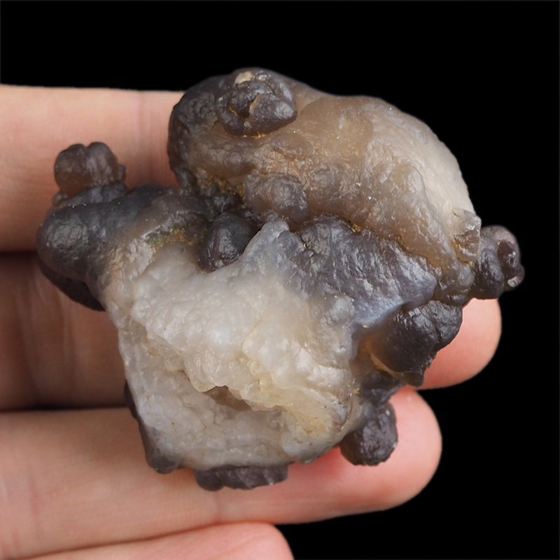 CHALCEDON - 52 mm - MAROKO