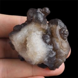 CHALCEDON - 52 mm - MAROKO